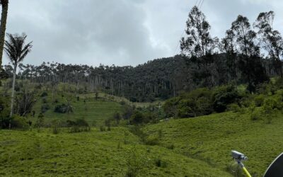 Potosí