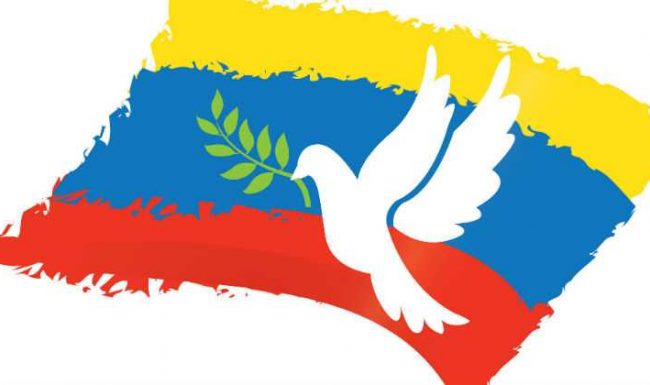 Paz y participación política